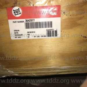 PHOTO-2019-02-06-21-58-09